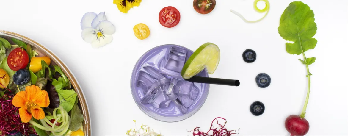 Ledo generatoriai „Brema“