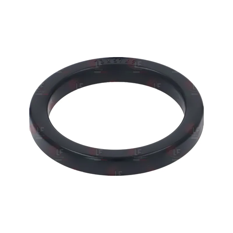 Group Head Gasket Ø 73x57x9 mm