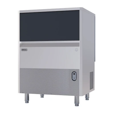 Ice maker 