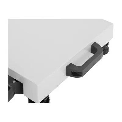 General-purpose scales EKO-3040-30 (platform 300 × 400 mm, up to 30 kg)